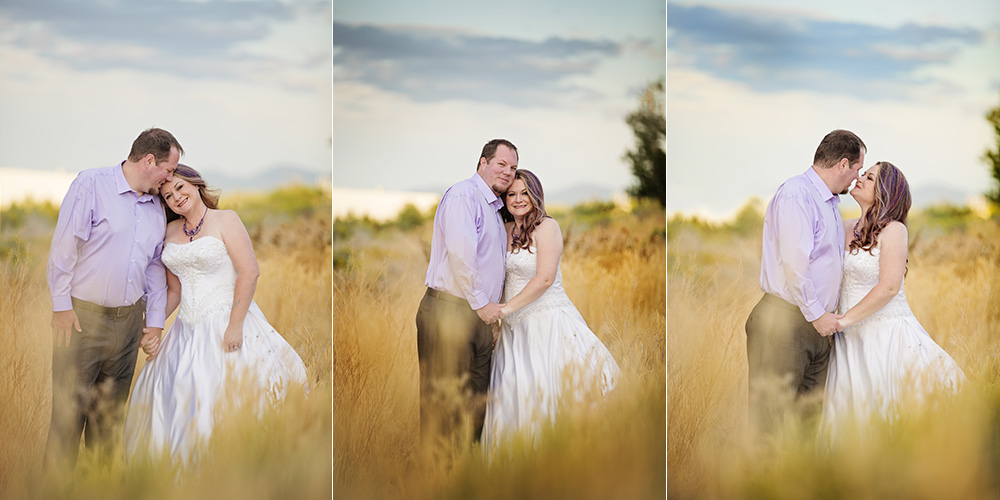 Meet Amanda | 10 Year Wedding Anniversary Photos with Wedding Dress in a Golden Field
