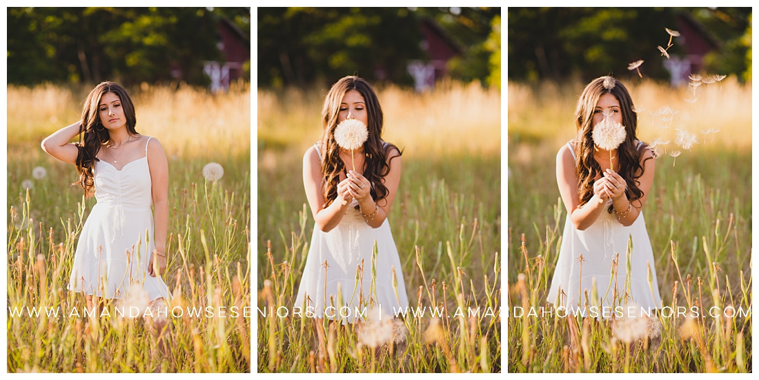 Senior Portraits Making a Wish on Dandelions in a Field Photographed by Tacoma Senior Photographer Amanda Howse