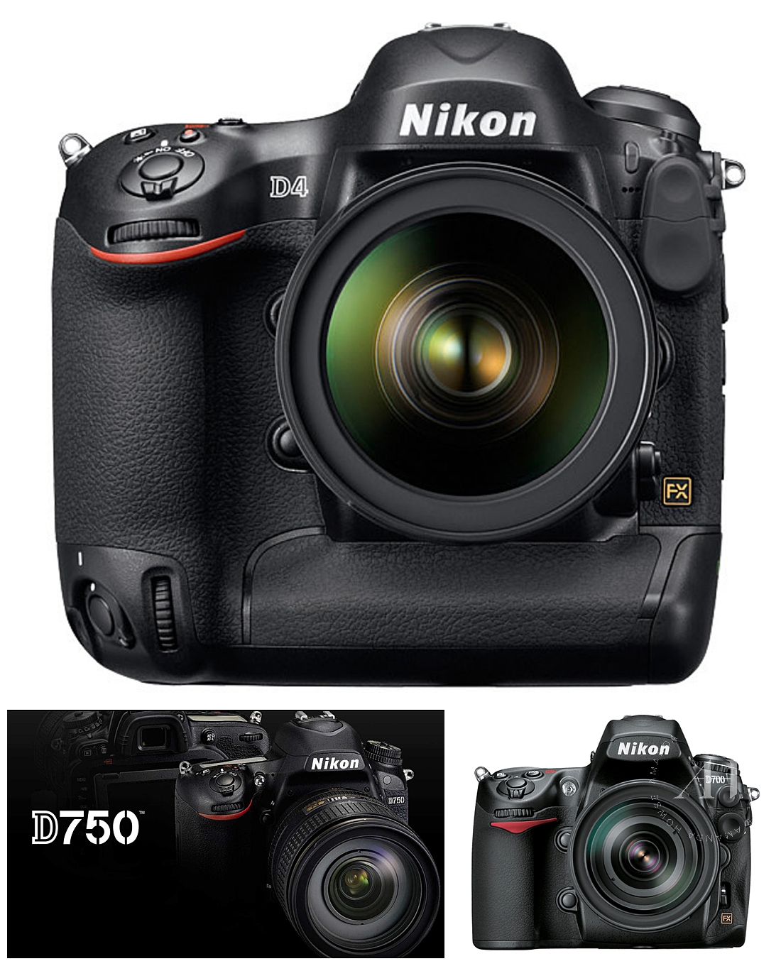 Nikon Cameras for Senior Portraits | An Equipment Guide from Tacoma's Best Senior Photographer Amanda Howse