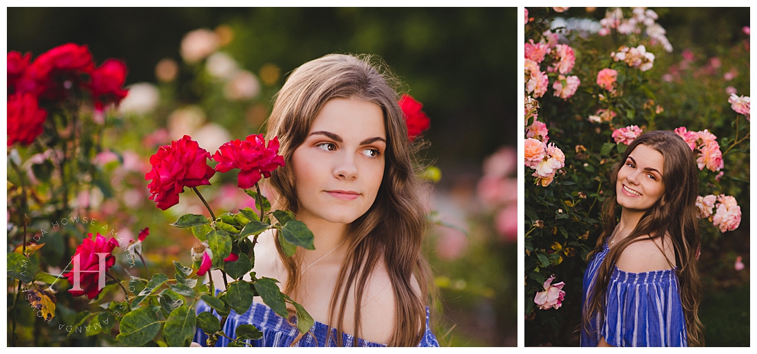 Point Defiance Rose Garden Senior Portraits | Senior girl posing in front of blooming flowers in the rose garden | Photographed by the Best Tacoma Senior Portrait Photographer Amanda Howse