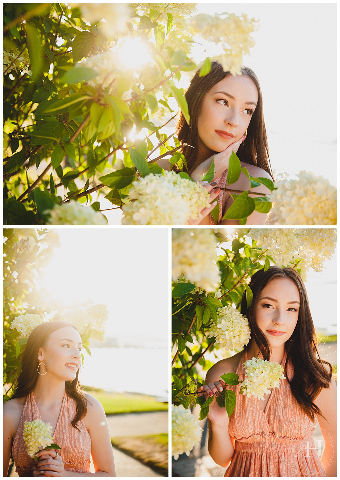Senior Portraits with Hydrangeas | Golden Light for Senior Photos, Pose Ideas for High School Senior Girls | Photographed by the Best Tacoma Senior Photographer Amanda Howse Photography