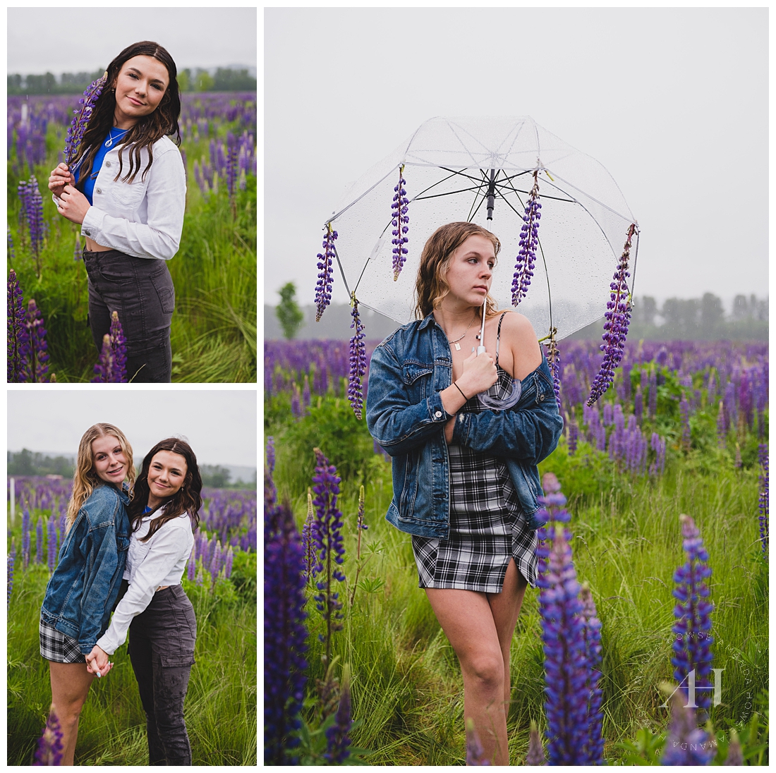 Field of Purple Photoshoot with Bright Purple Lupine Flowers| Photographed by the Best Tacoma, Washington Senior Photographer Amanda Howse Photography