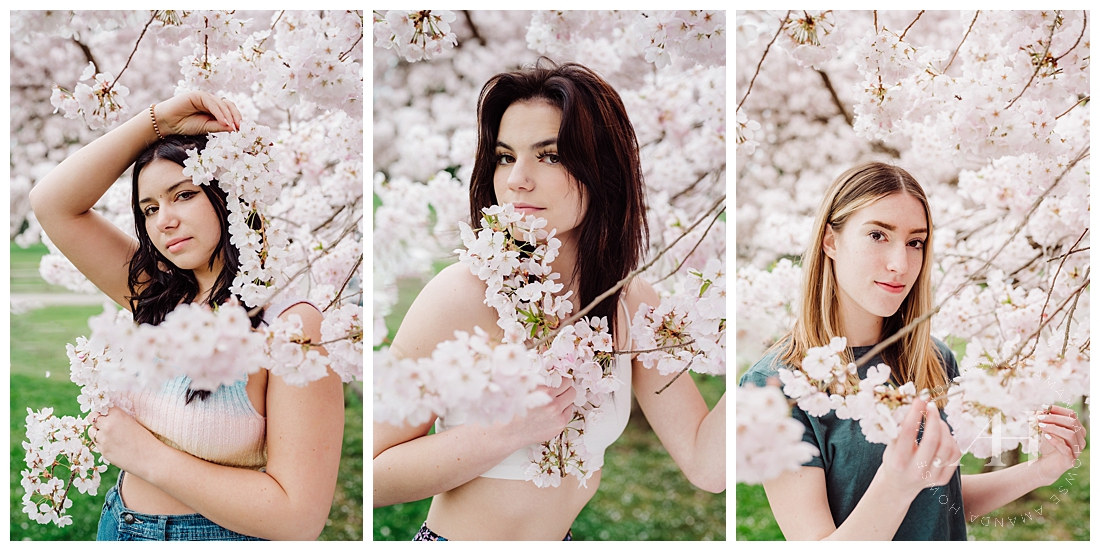 AHP Model Team Photoshoot with White and Pink Cherry Blossoms | Photographed by the Best Tacoma, Washington Senior Photographer Amanda Howse Photography