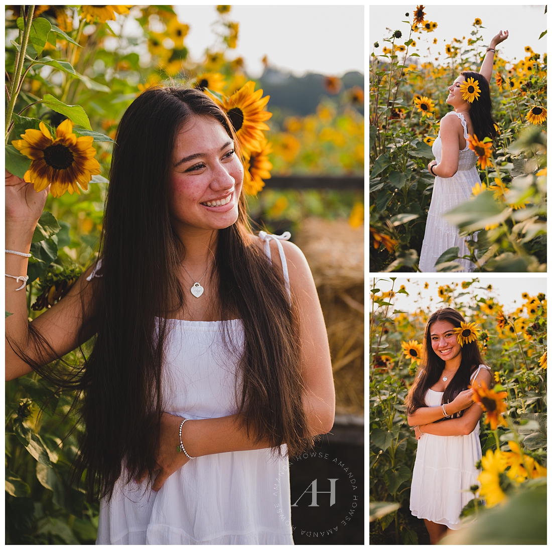 BEST Sunflower Locations in WA | Photographed by the Best Tacoma, Washington Senior Photographer Amanda Howse Photography
