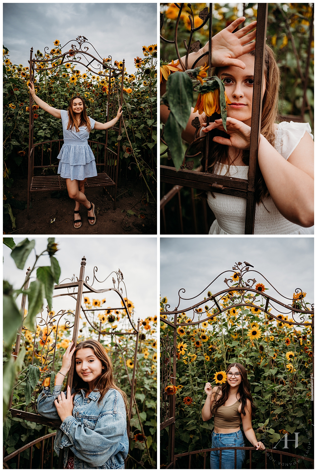 Top Pose Ideas For Photos in a Sunflower Field | Photographed by the Best Tacoma, Washington Senior Photographer Amanda Howse Photography