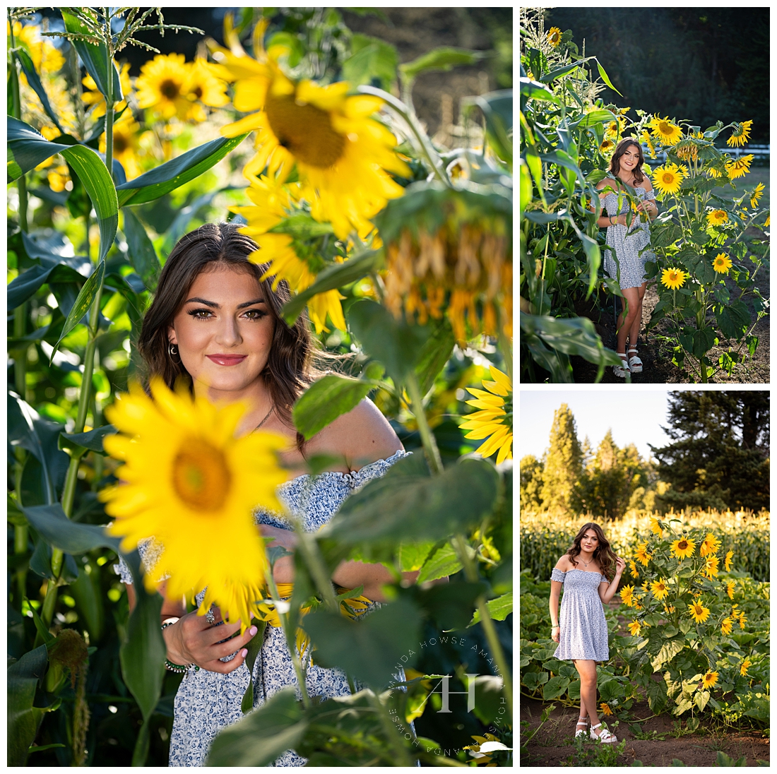 PNW Sunflower Senior Photos in Giant Sunflower Field | Amanda Howse Photography