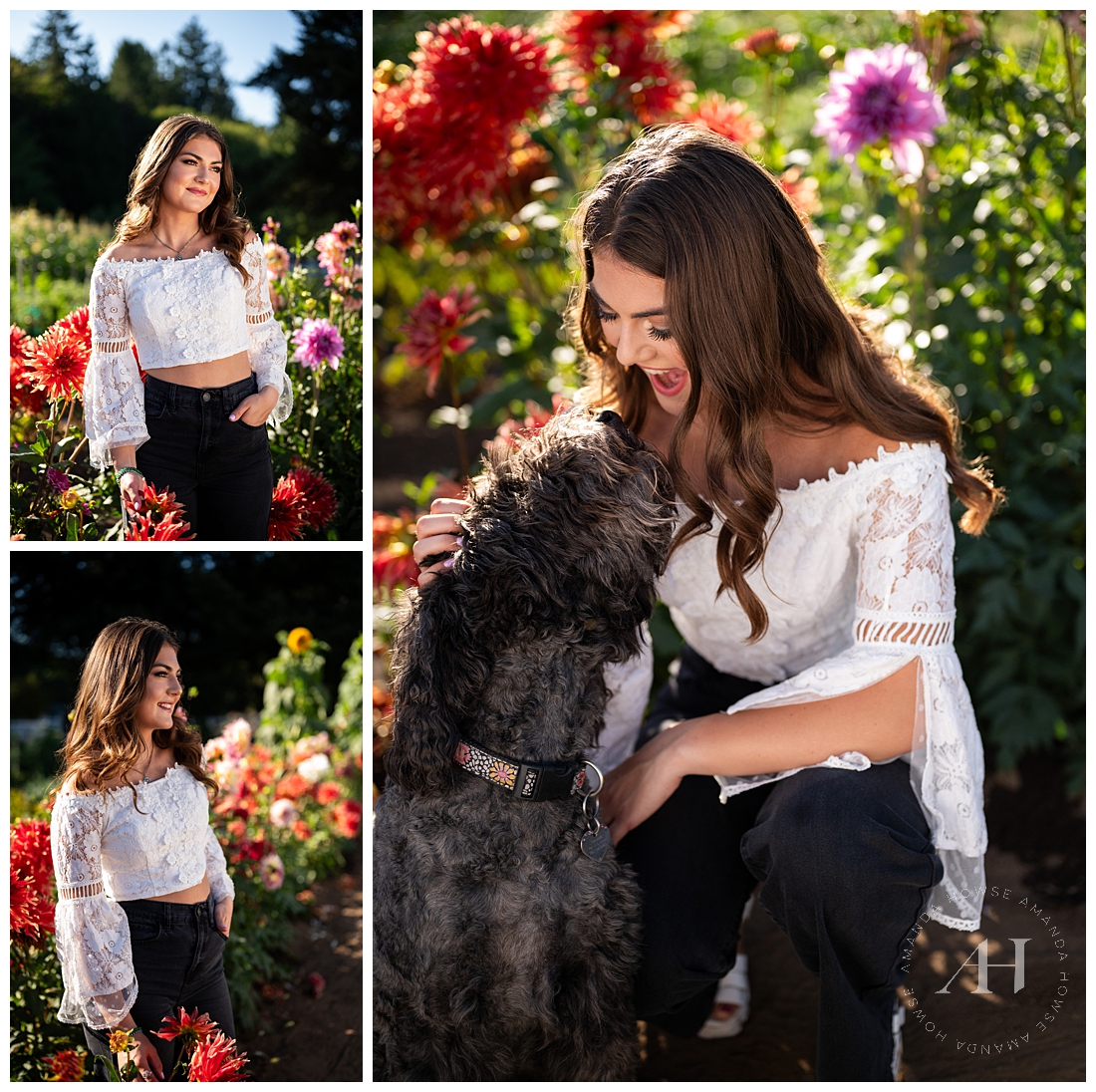 Why Furry Friends are the Best Senior Portrait Support | Summertime Photos | Amanda Howse Photography 